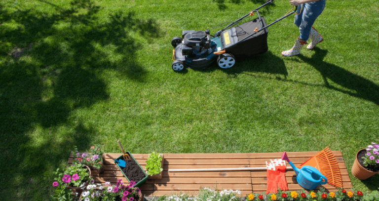 5 Ideas to prepare your garden for summer